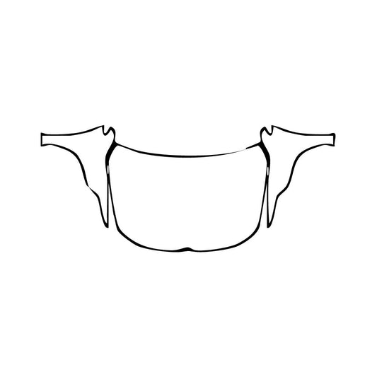 Pre-Cut PPF Volkswagen Golf Golf R 2025 - PPF-Kits