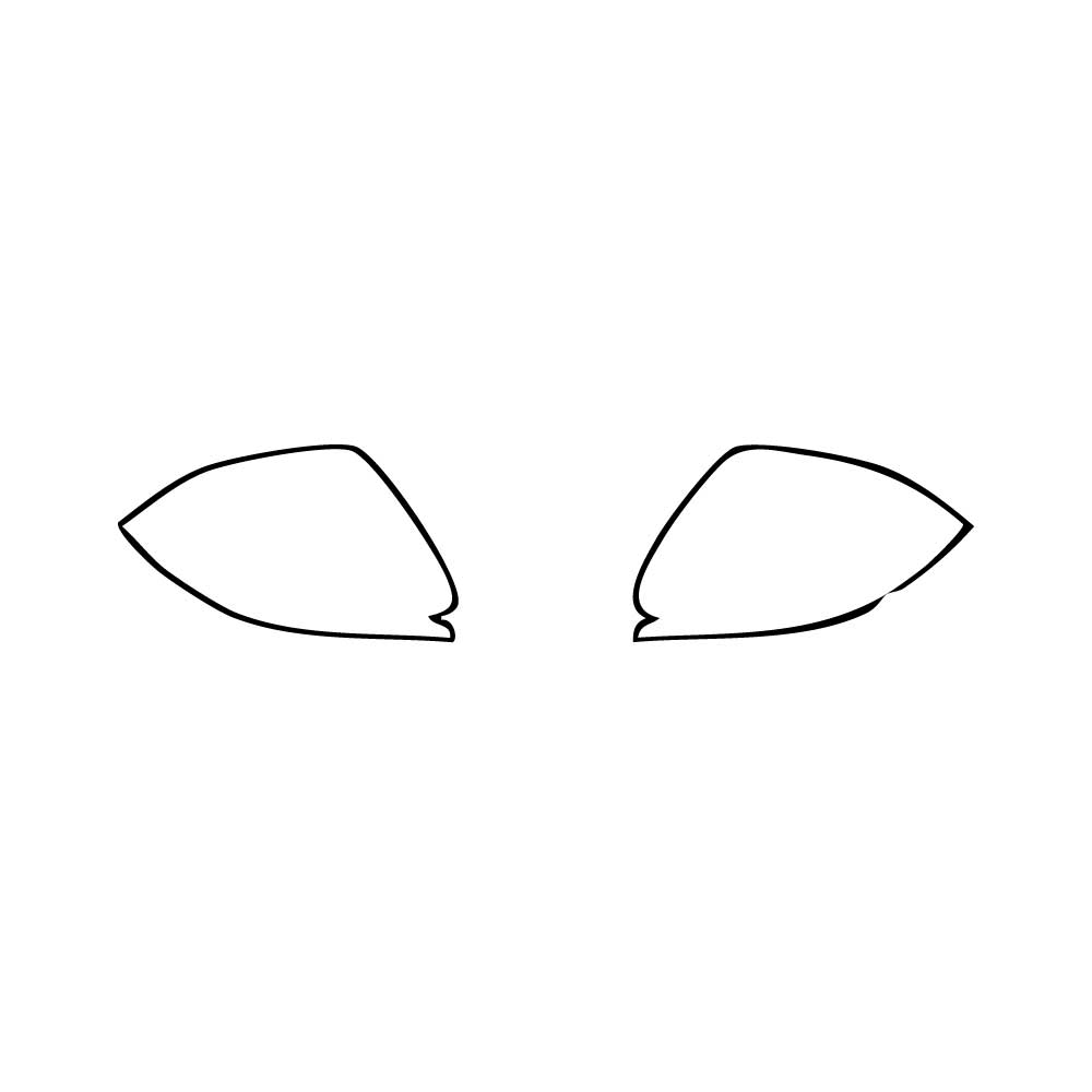 Pre-Cut PPF Audi Q8 RS Q8 2024 - PPF-Kits