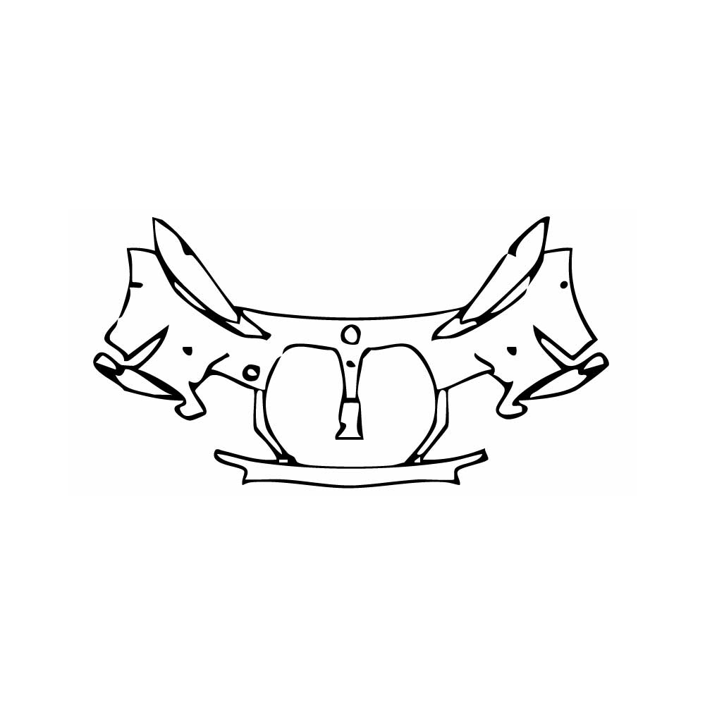 Pre-Cut PPF BMW 4 Series Coupe M4 Competition 2024 - PPF-Kits