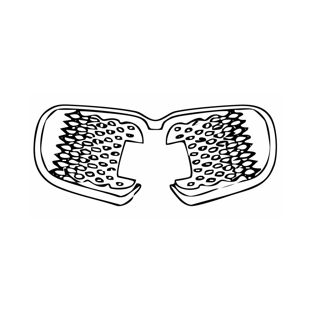 Pre-Cut PPF BMW iX1 Standard Wheelbase M Sport 2024 - PPF-Kits