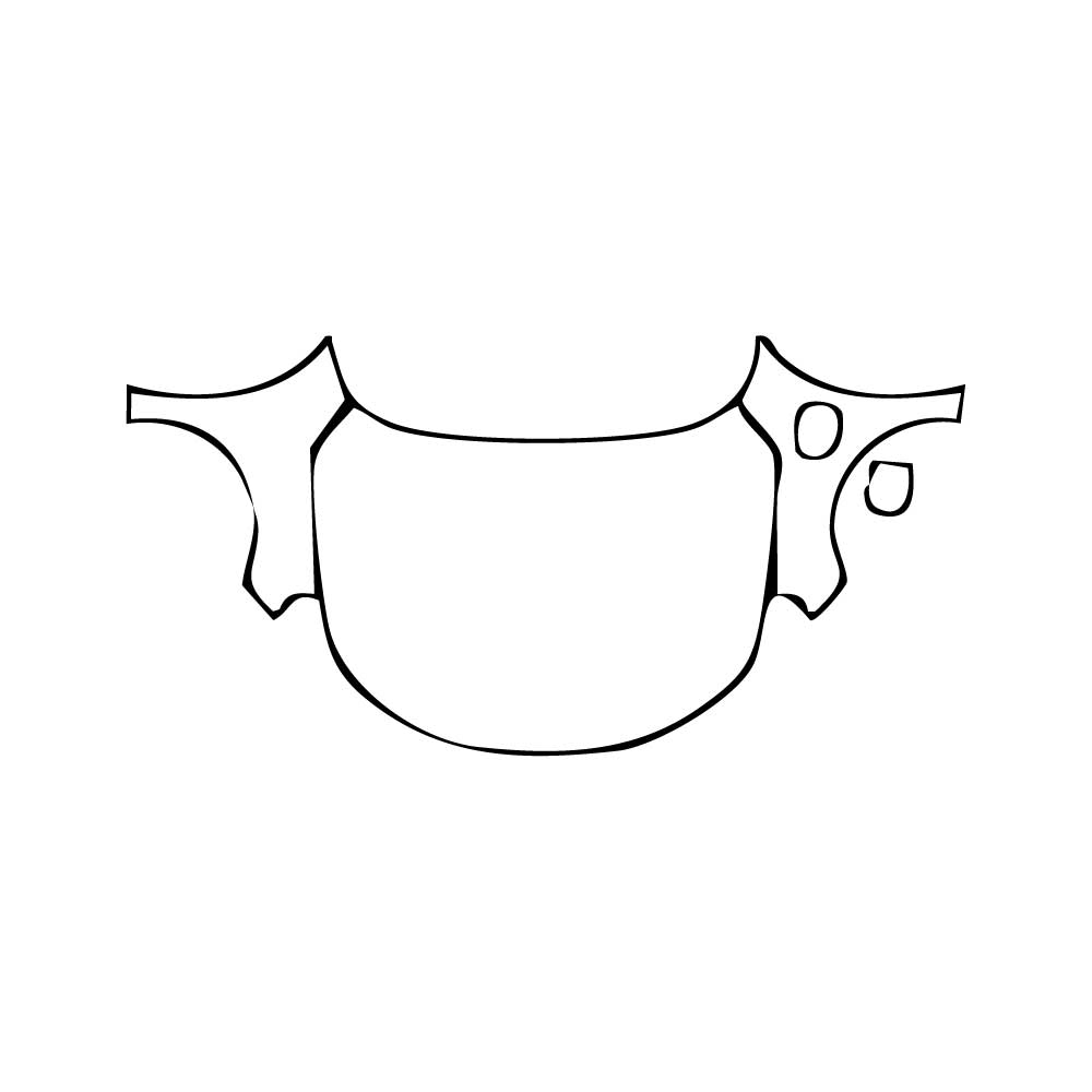 Pre-Cut PPF Honda Accord 2024 - PPF-Kits