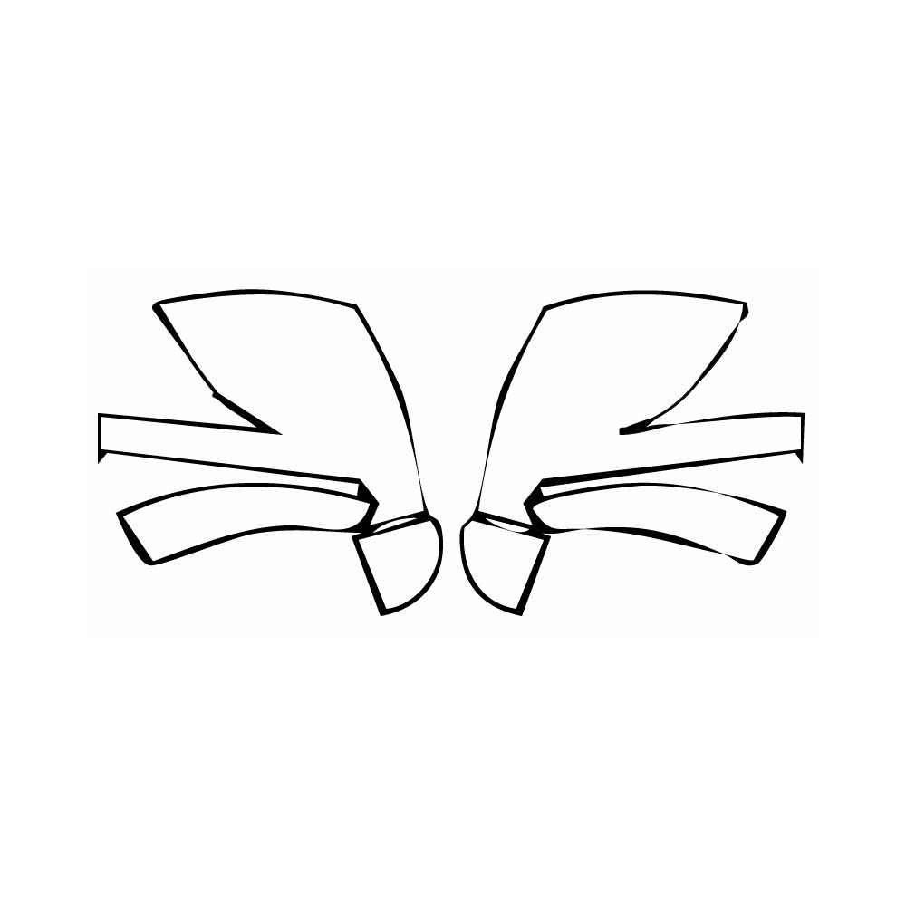 Pre-Cut PPF Nissan GT-R T-spec 2024 - PPF-Kits