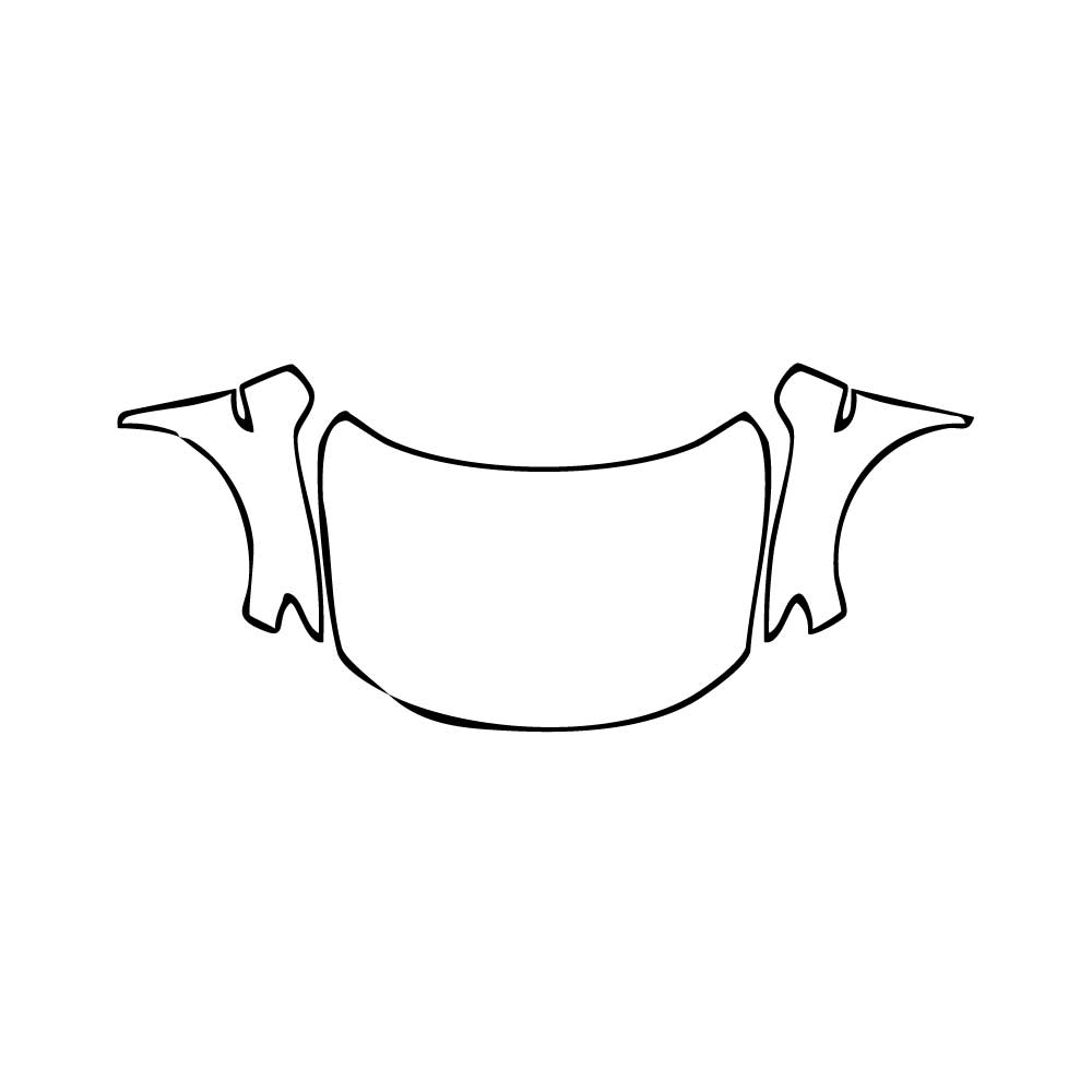 Pre-Cut PPF Volkswagen T-Roc (EU) R 2025 - PPF-Kits