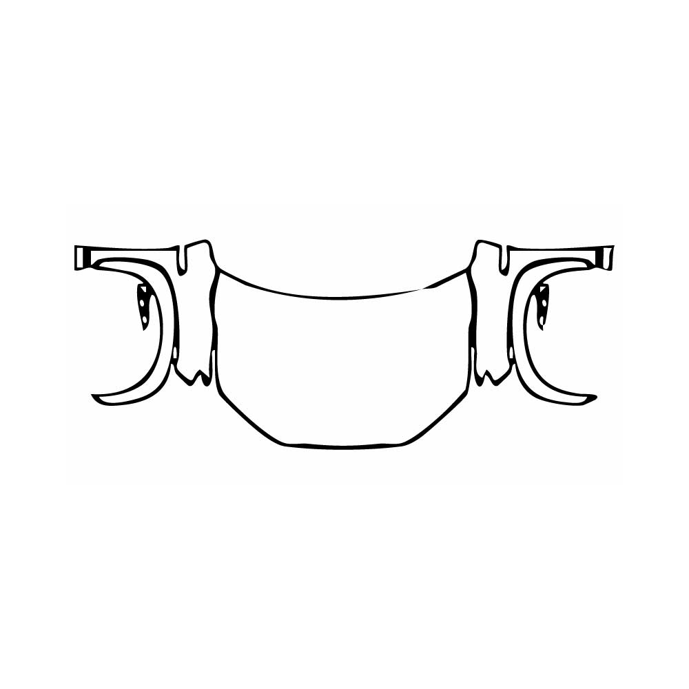 Pre-Cut PPF BYD Sealion 7 EV 2024 - PPF-Kits