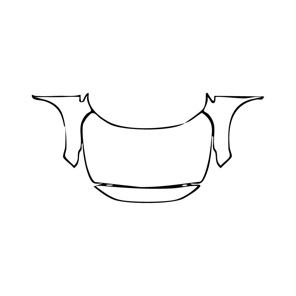 Pre-Cut PPF Fiat Fastback Base 2024 - PPF-Kits