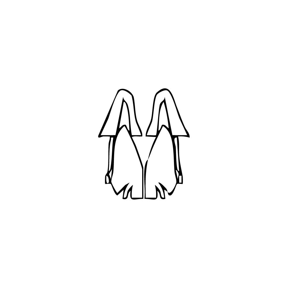 Pre-Cut PPF Ford Focus Estate ST-line 2024 - PPF-Kits