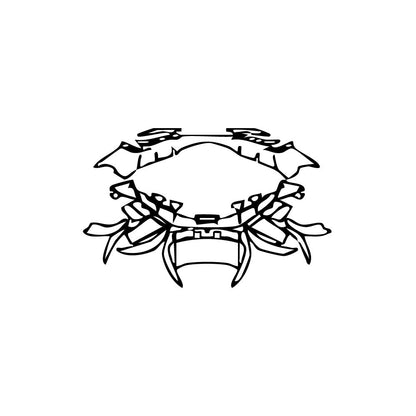 Pre-Cut PPF Lamborghini Revuelto 2024 - PPF-Kits