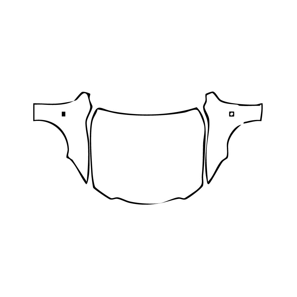 Pre-Cut PPF Lexus IS Sedan F-Sport 2024 - PPF-Kits