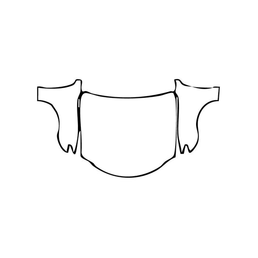 Pre-Cut PPF Lexus RC Base 2024 - PPF-Kits