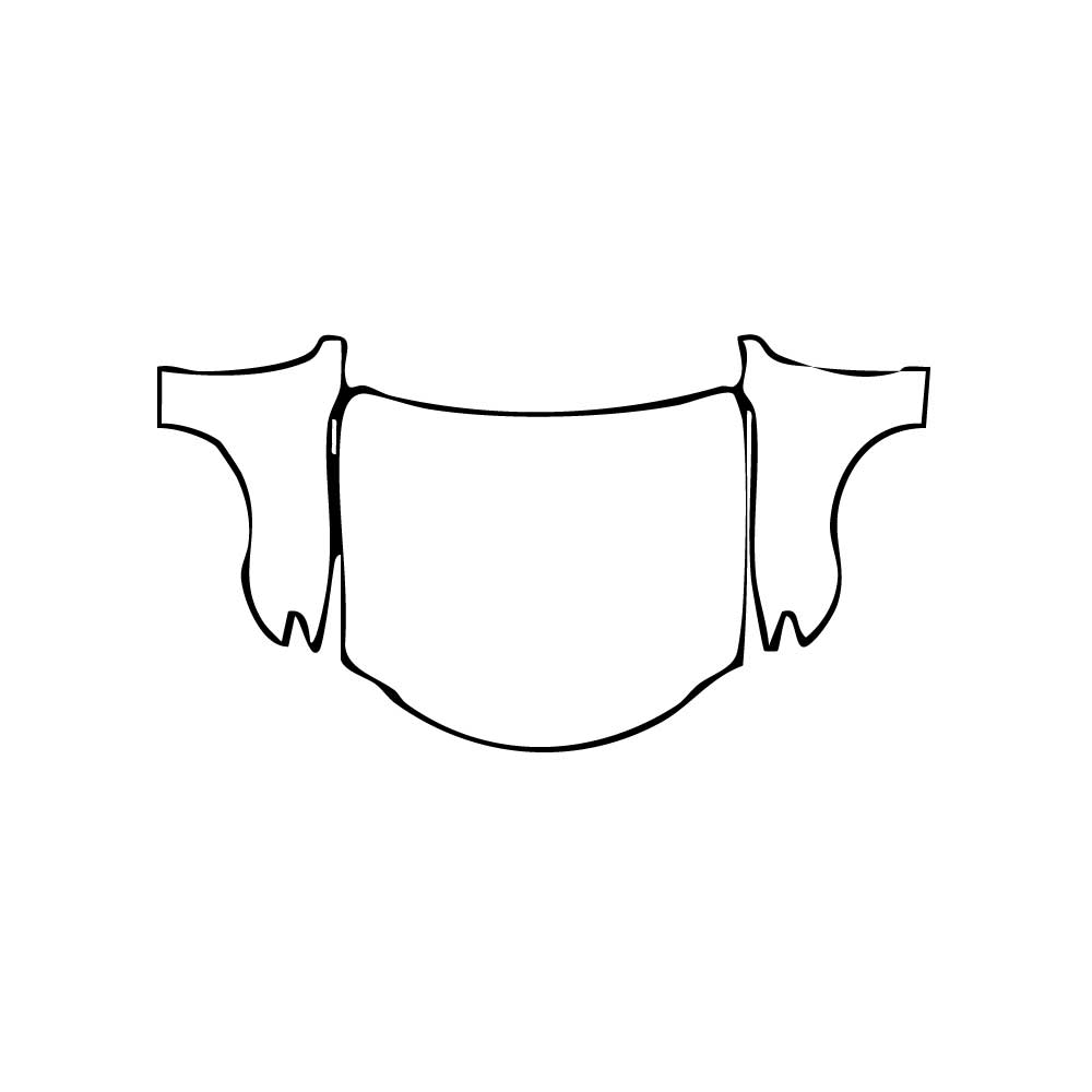 Pre-Cut PPF Lexus RC F-Sport 2024 - PPF-Kits