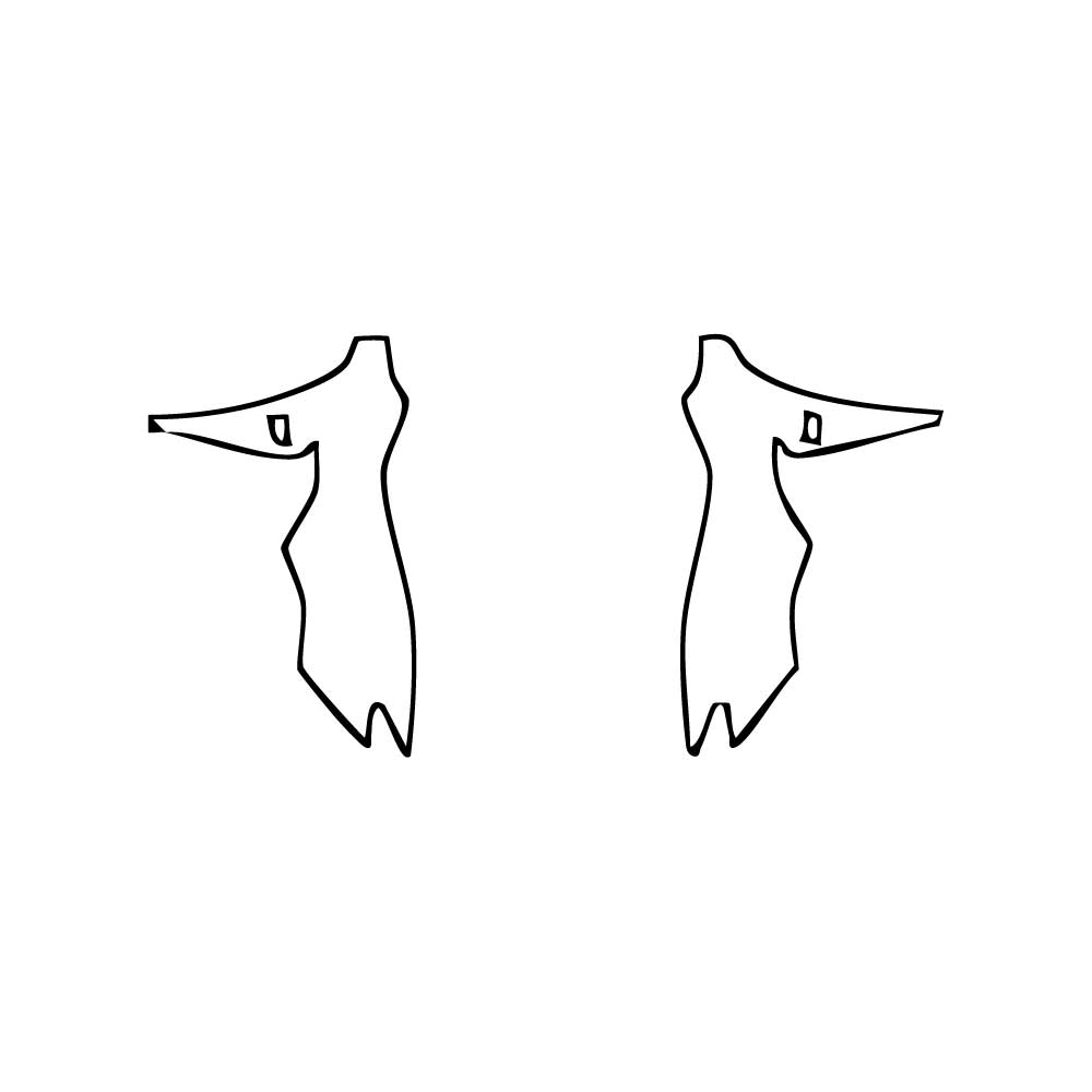 Pre-Cut PPF Lexus RCF 2024 - PPF-Kits