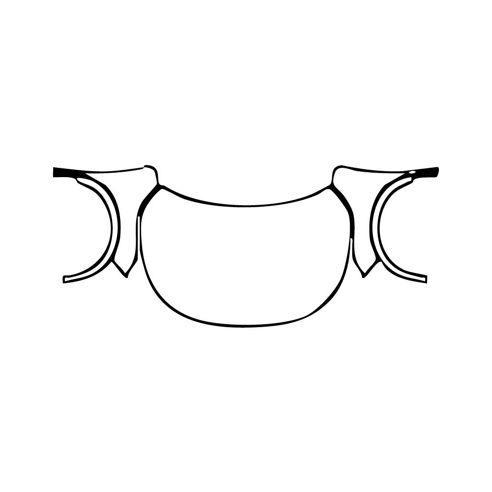 Pre-Cut PPF Lexus RX RX (SWB) Base 2024 - PPF-Kits