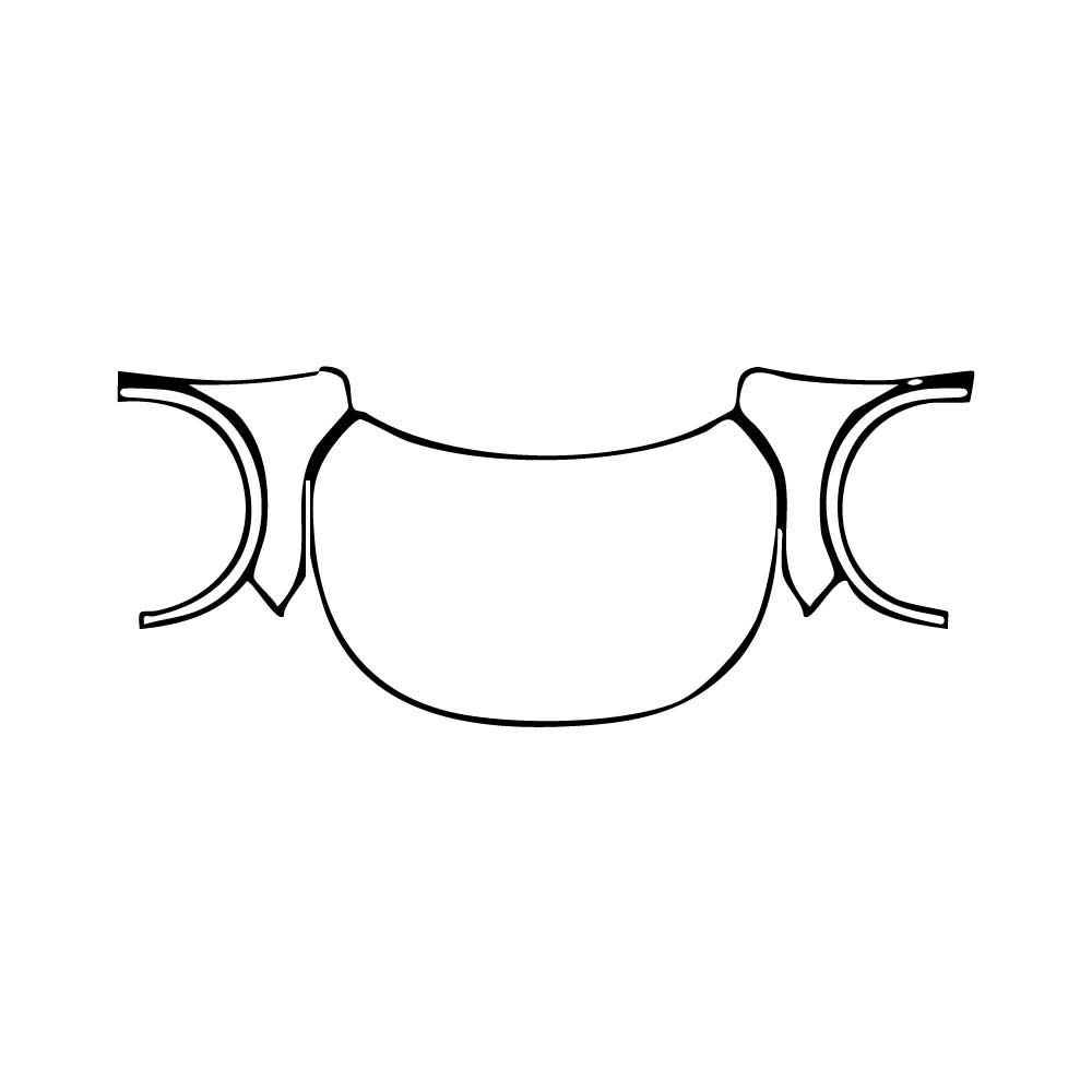 Pre-Cut PPF Lexus RX RX (SWB) Base 2024 - PPF-Kits