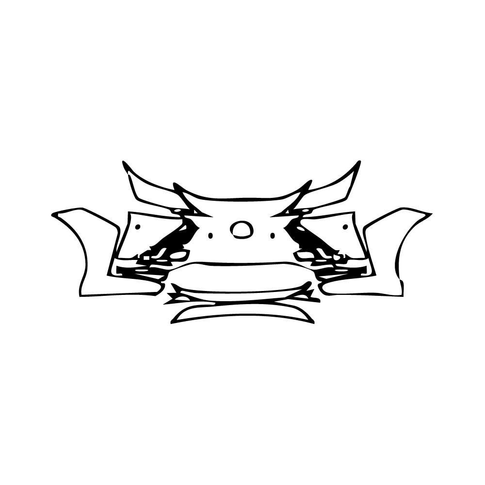 Pre-Cut PPF Lexus RZ 2024 - PPF-Kits