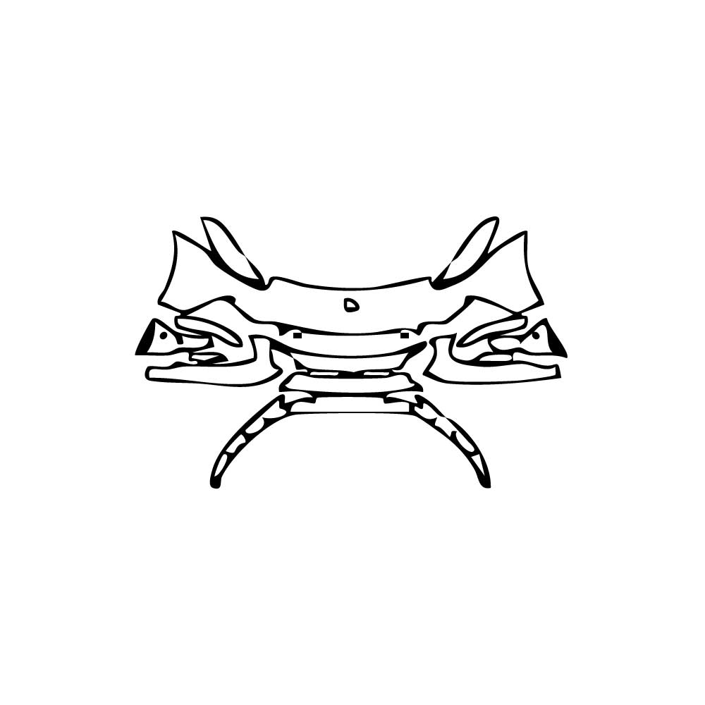 Pre-Cut PPF Lotus Emira 2024 - PPF-Kits