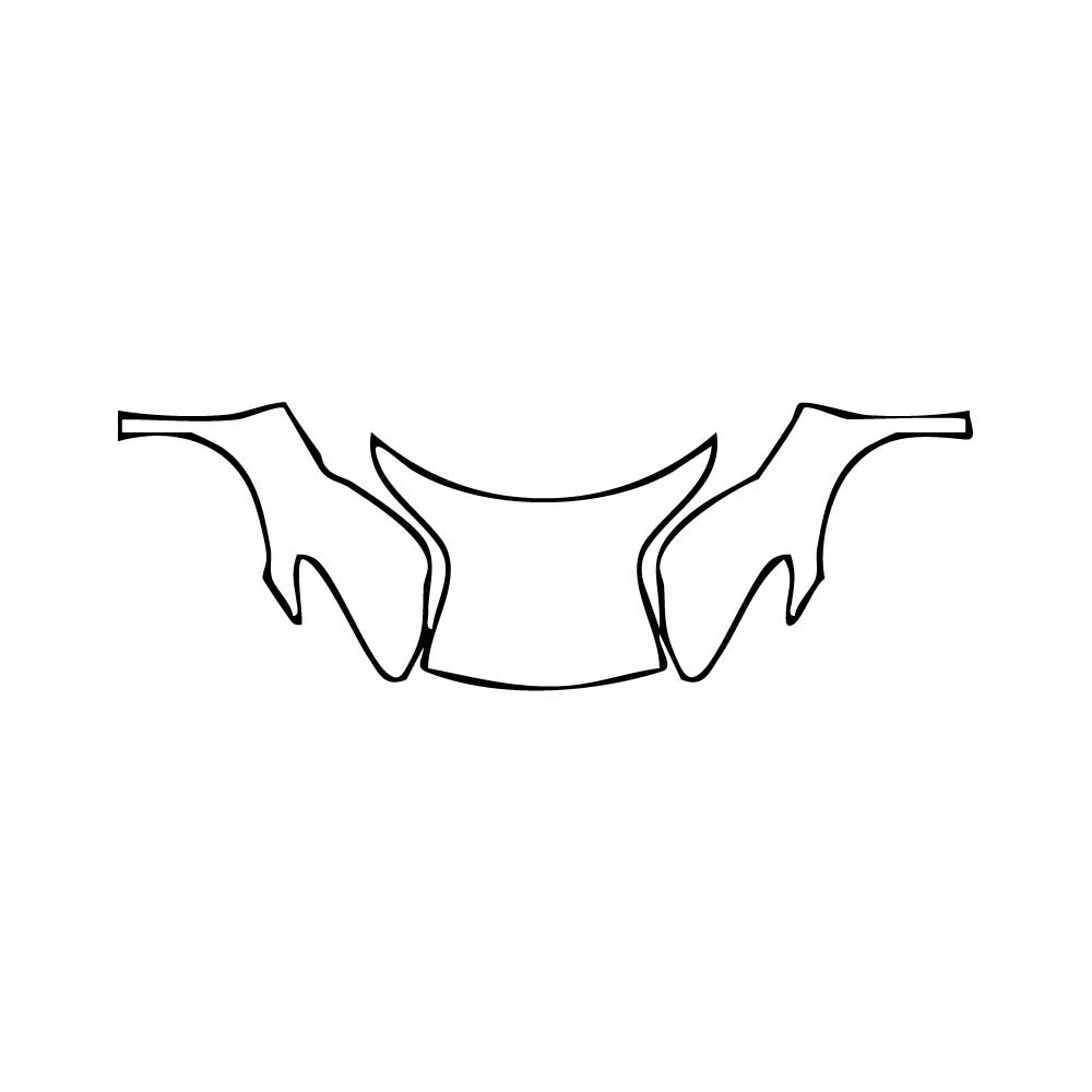 Pre-Cut PPF Lotus Emira 2024 - PPF-Kits