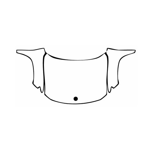 Pre-Cut PPF Rivian R1S 2022 - PPF-Kits