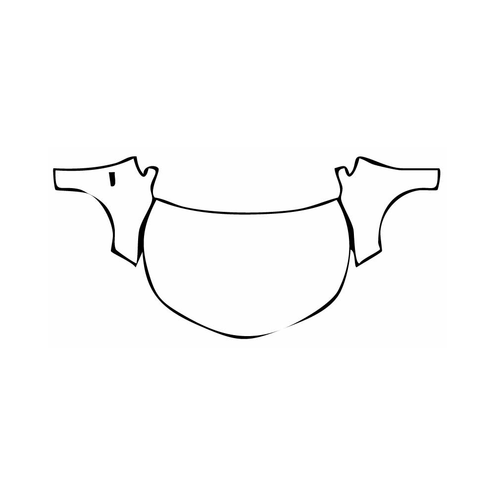 Pre-Cut PPF Toyota Corolla (CN) 2021 - PPF-Kits