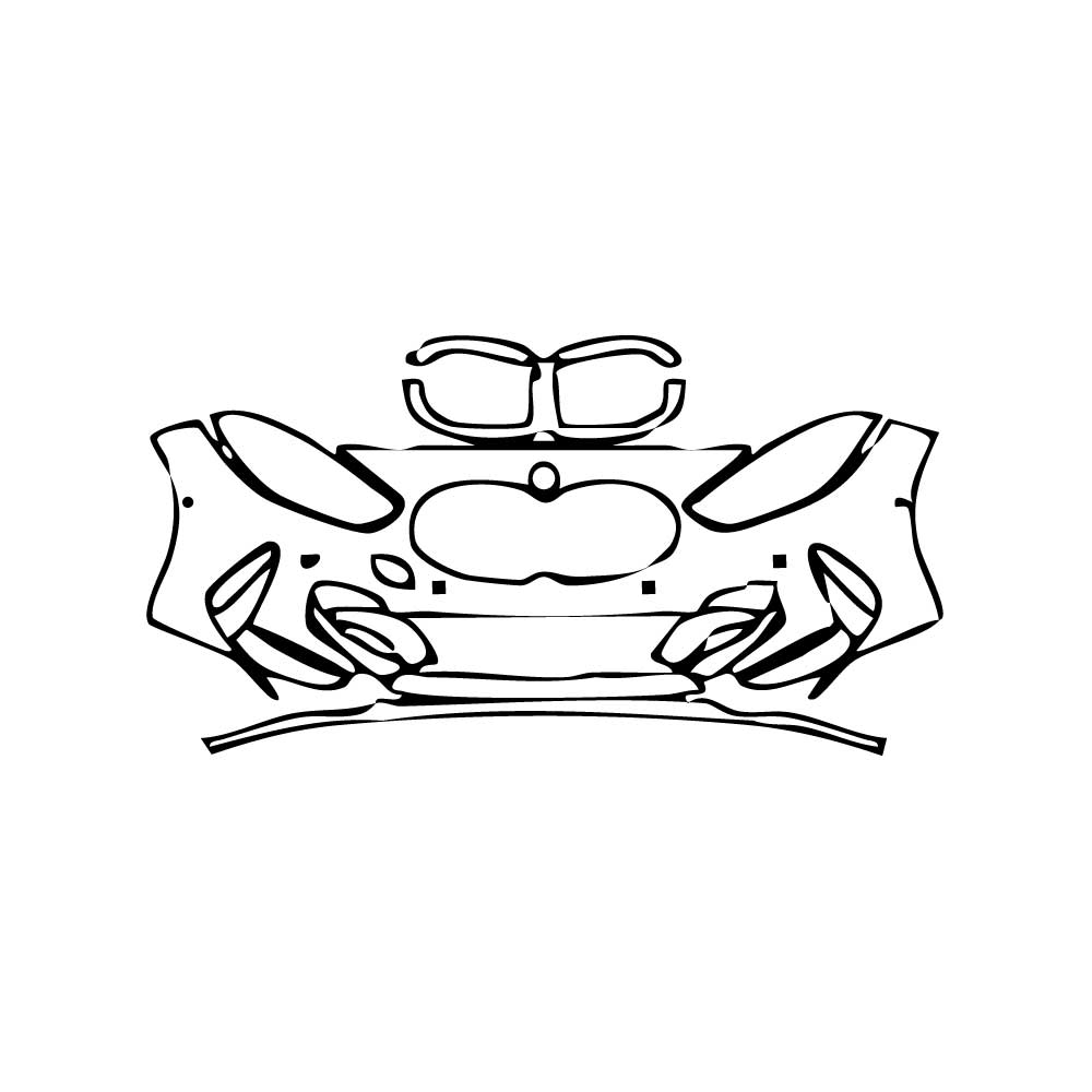 Pre-Cut PPF BMW 1 Series 5-door Sports Hatch M135i 2020 - PPF-Kits