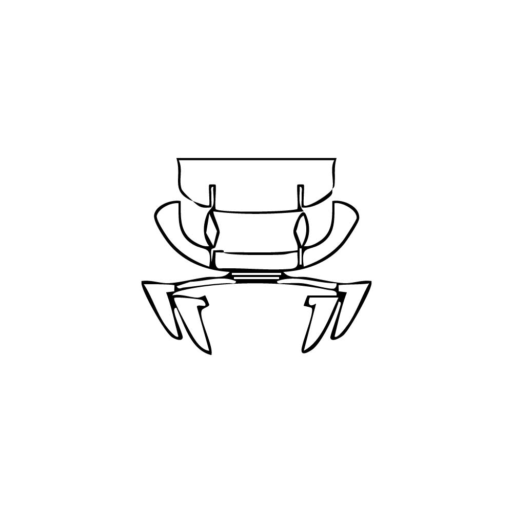 Pre-Cut PPF BMW X5 X5 M 2020 - PPF-Kits