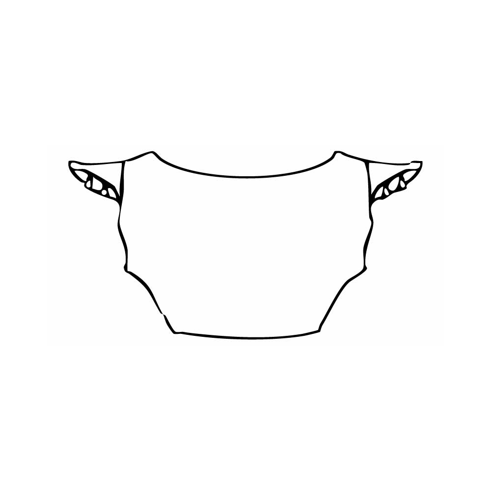 Pre-Cut PPF BMW Z4 M40i 2019 - PPF-Kits