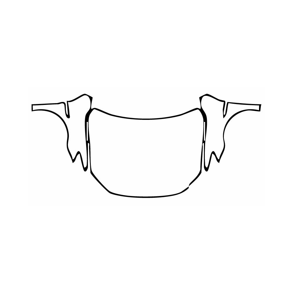 Pre-Cut PPF BYD Qin Pro New Energy 2018 - PPF-Kits