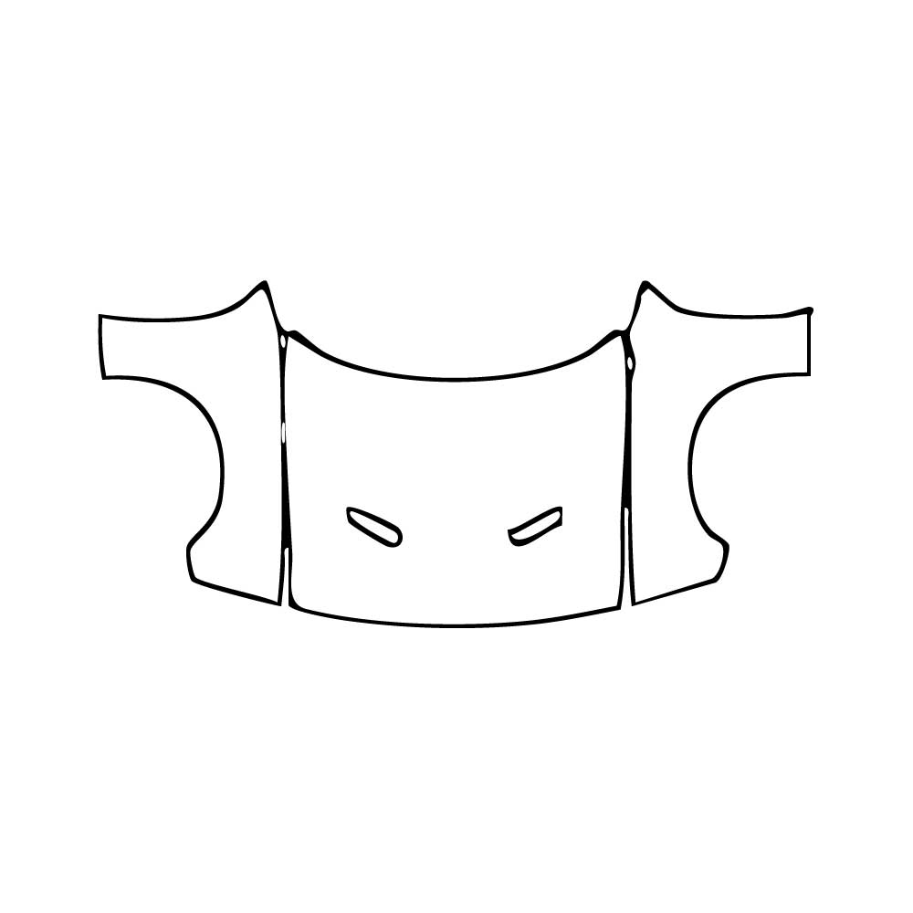 Pre-Cut PPF Dodge Challenger Standard body SXT 2019 - PPF-Kits