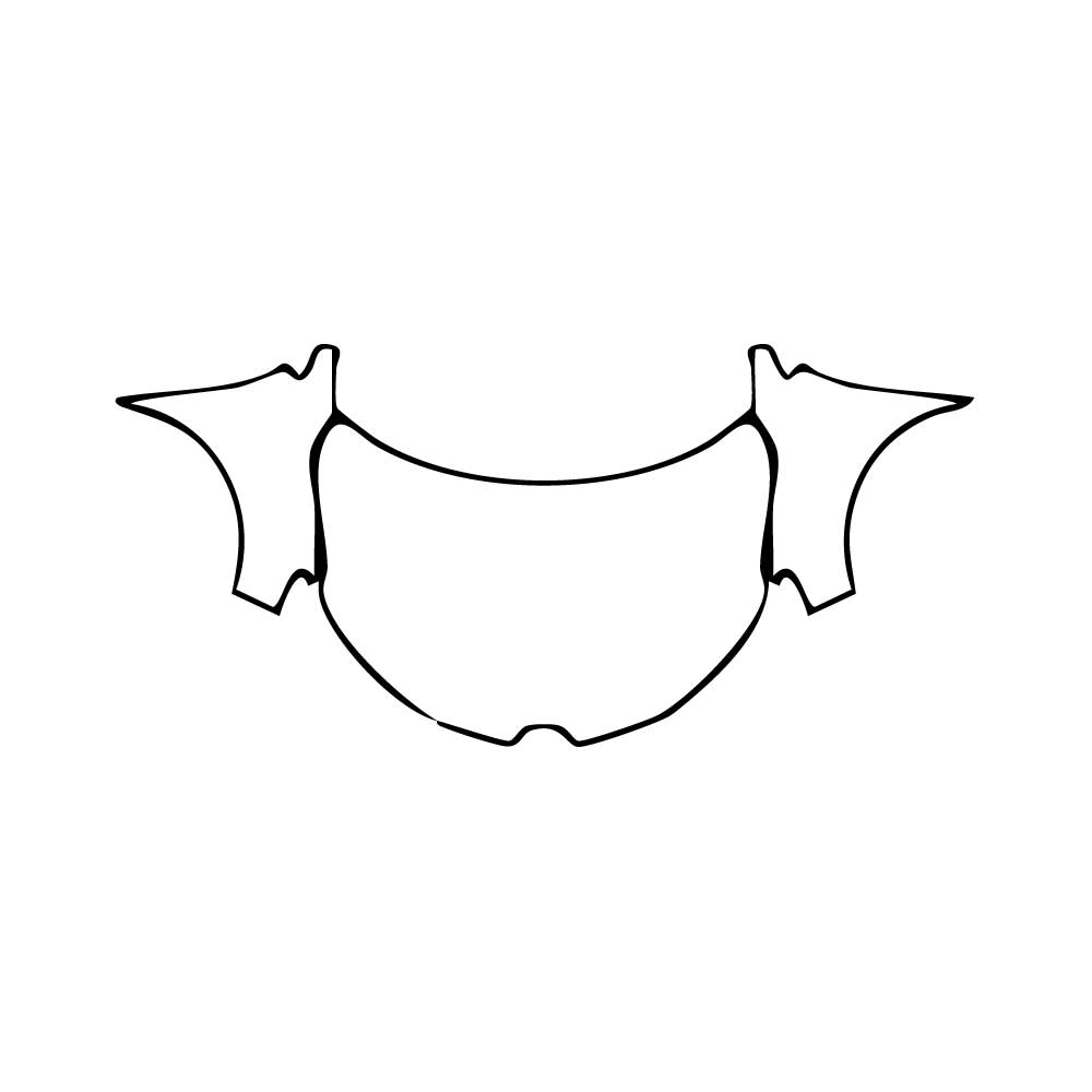 Pre-Cut PPF Renault Kadjar Techno 2022 - PPF-Kits