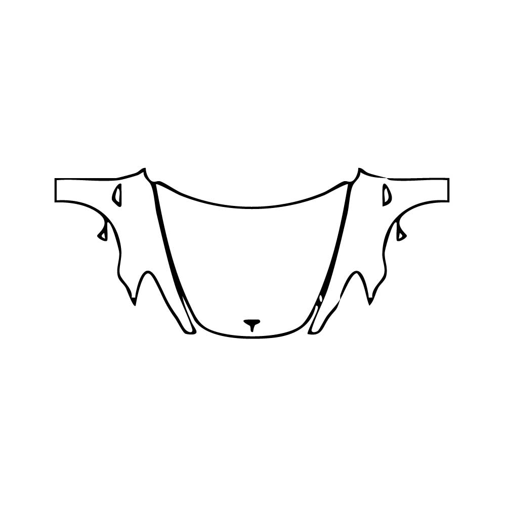 Pre-Cut PPF Tesla Model 3 2018 - PPF-Kits