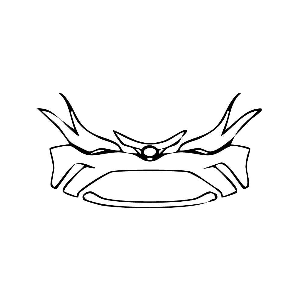 Pre-Cut PPF Toyota C-HR 2021 - PPF-Kits