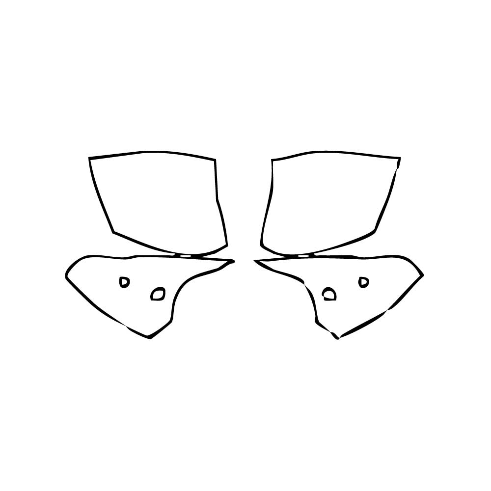 Pre-Cut PPF DS Automobiles DS 4 2022 - PPF-Kits