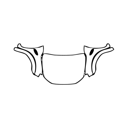 Pre-Cut PPF Ford Ranger (EU) Raptor 2019 - PPF-Kits