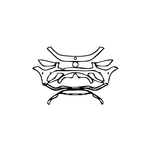 Pre-Cut PPF Mercedes-Benz AMG GT 4-Door 63 S 2019 - PPF-Kits