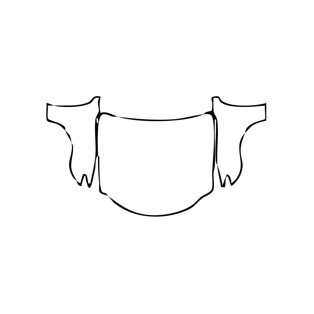 Pre-Cut PPF Lexus RC F-Sport 2015 - PPF-Kits