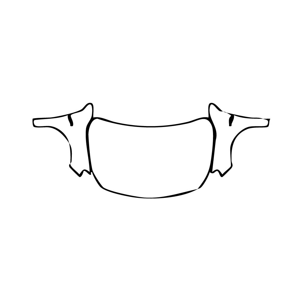 Pre-Cut PPF Mercedes-Benz A Class Hatchback AMG A 45 2016 - PPF-Kits