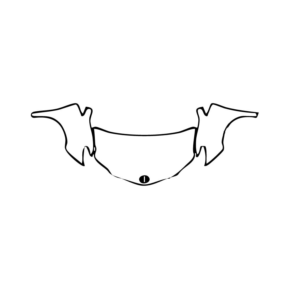 Pre-Cut PPF Toyota Sienna XLE 2011 - PPF-Kits