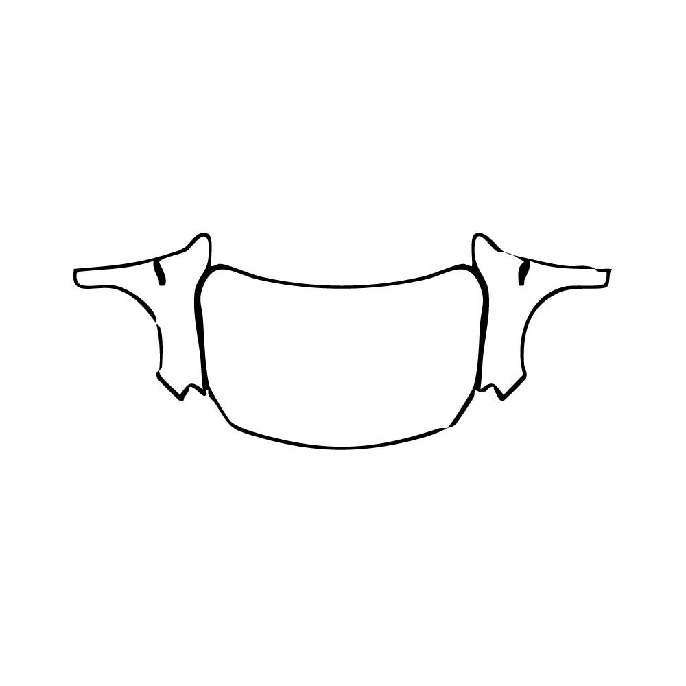 Pre-Cut PPF Mercedes-Benz A Class Hatchback AMG A 45 2014 - PPF-Kits