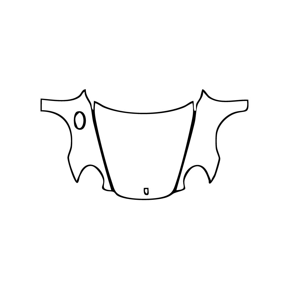 Pre-Cut PPF Porsche 911 GT3 2008 - PPF-Kits