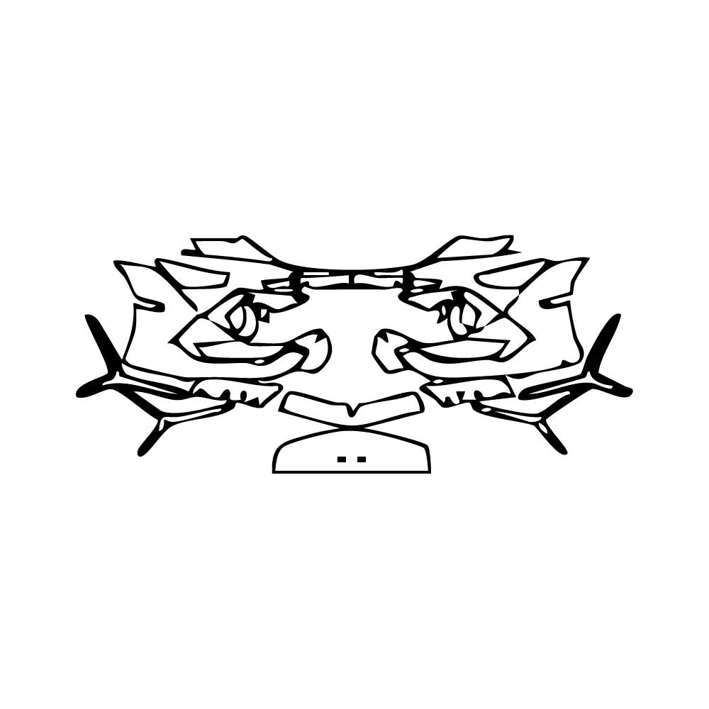 Pre-Cut PPF Lamborghini Revuelto 2025 - PPF-Kits