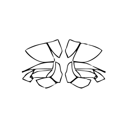 Pre-Cut PPF Lamborghini Revuelto 2025 - PPF-Kits