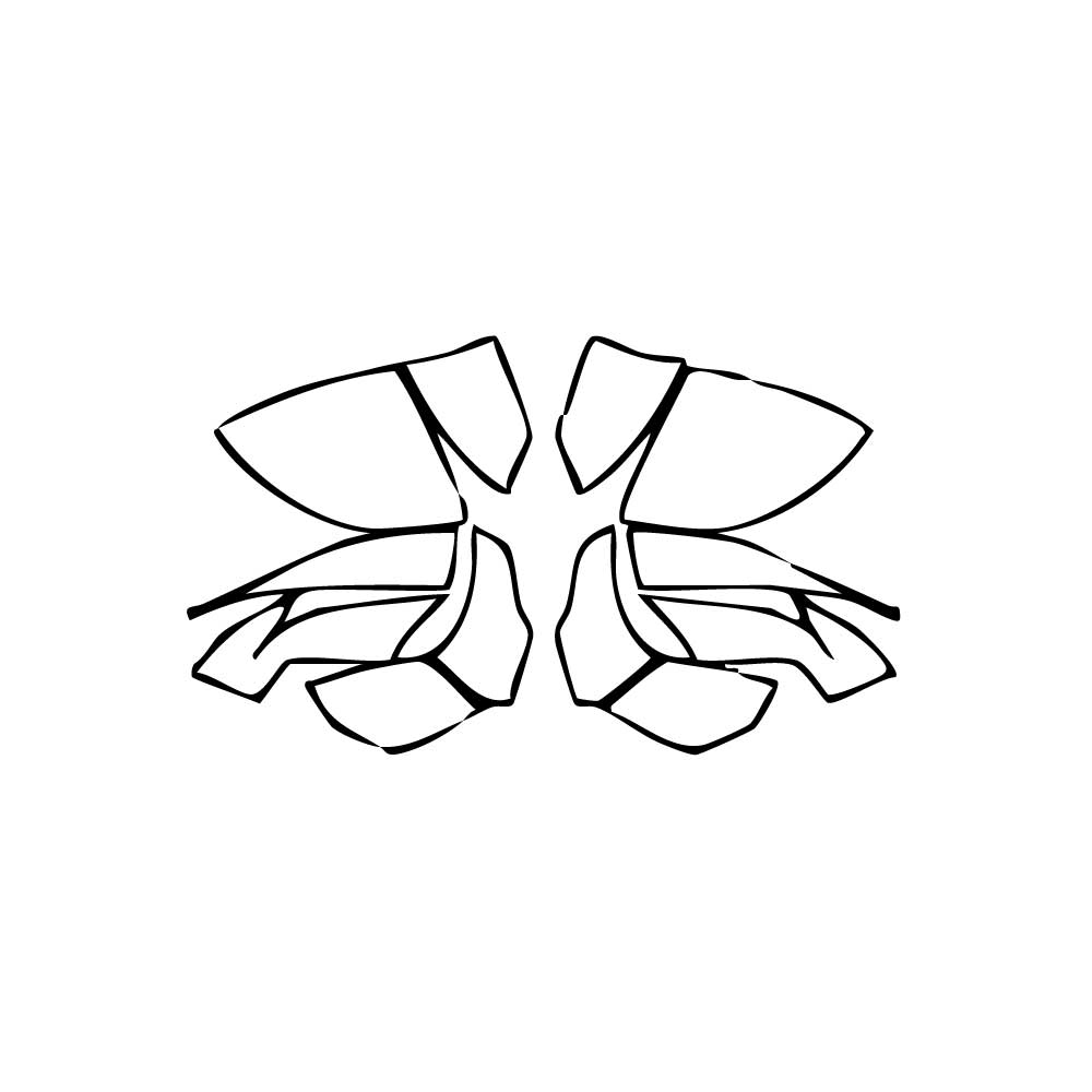 Pre-Cut PPF Lamborghini Revuelto 2025 - PPF-Kits