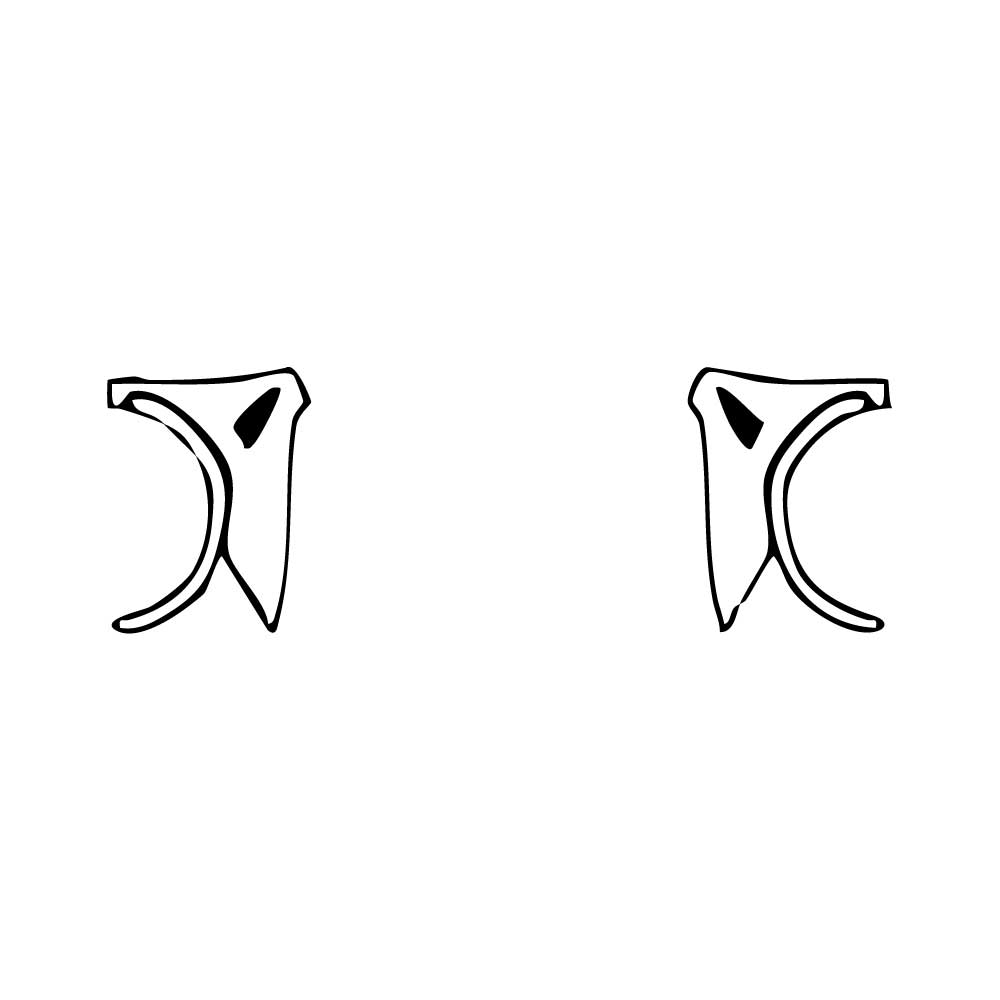 Pre-Cut PPF Lamborghini Urus SE 2025 - PPF-Kits