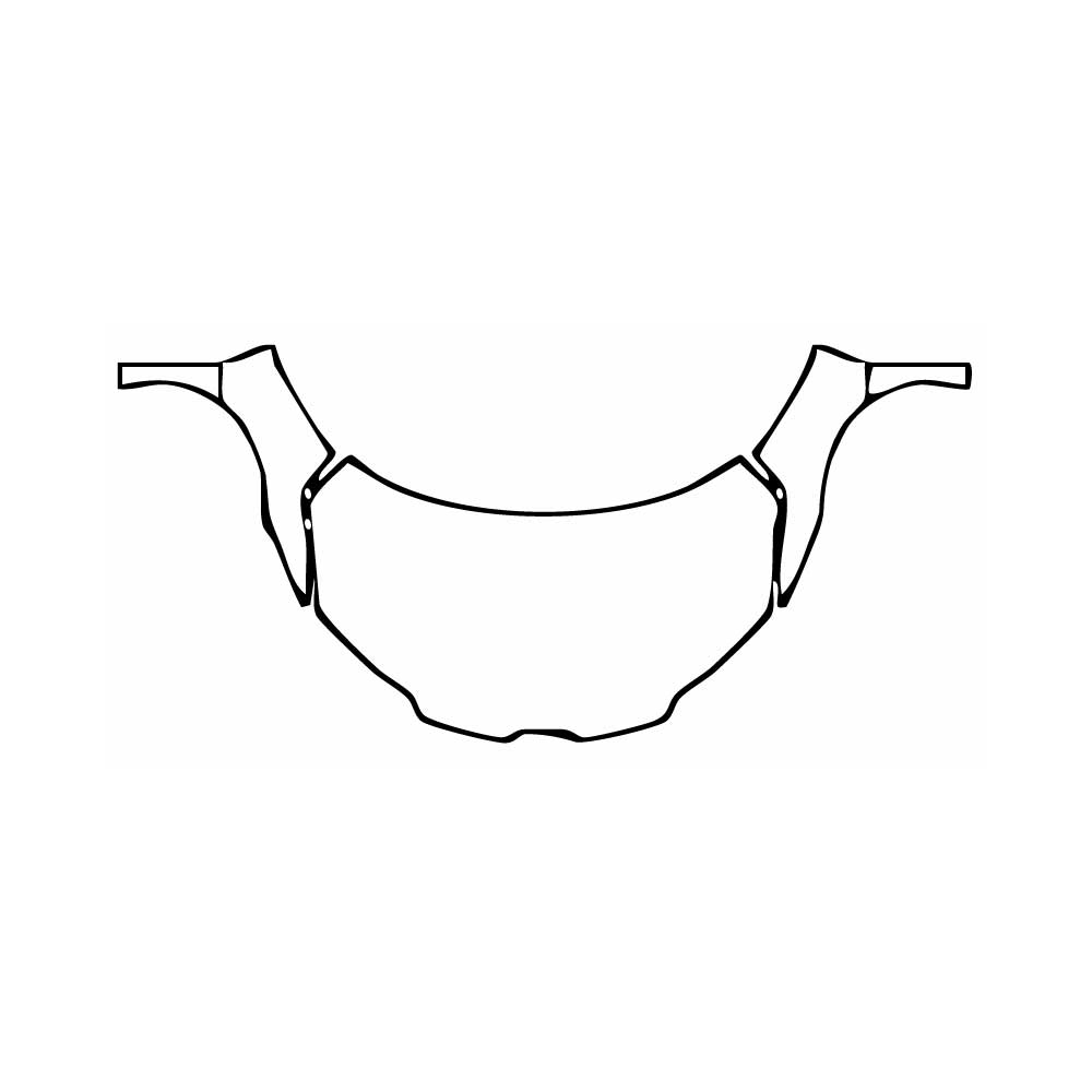 Pre-Cut PPF Lamborghini Temerario 2025 - PPF-Kits