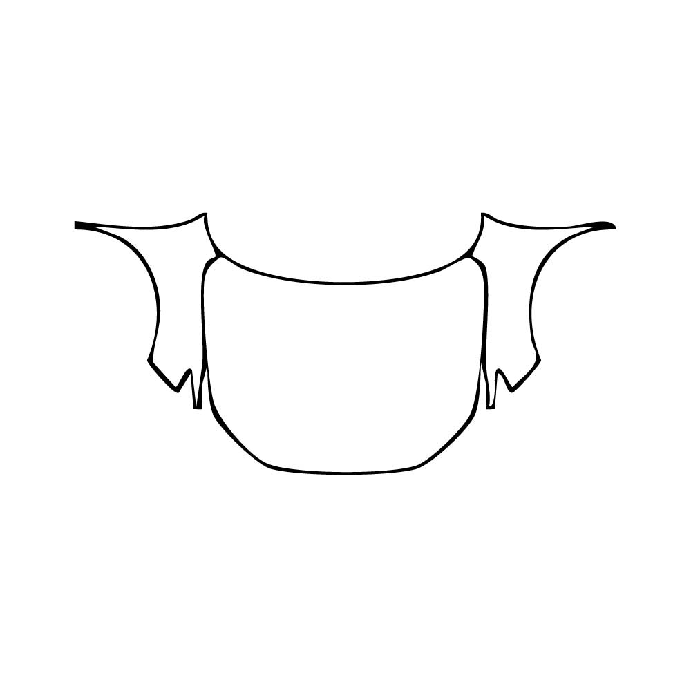 Pre-Cut PPF Honda CR-V (US) 2025 - PPF-Kits