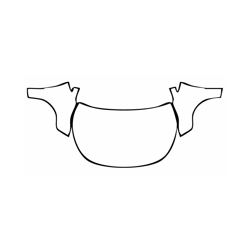 Pre-Cut PPF Toyota Corolla (US) Sedan Sport 2025 - PPF-Kits