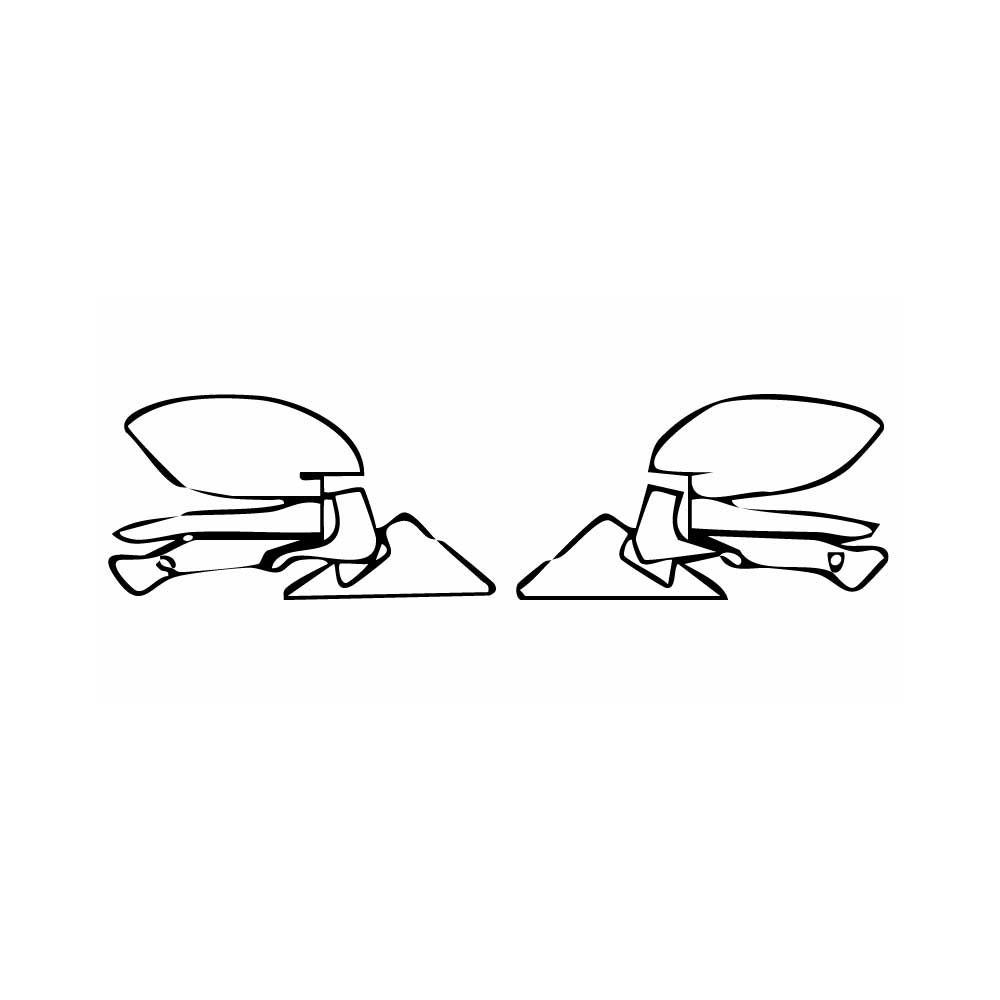 Pre-Cut PPF BMW 4 Series Gran Coupe Sport 2025