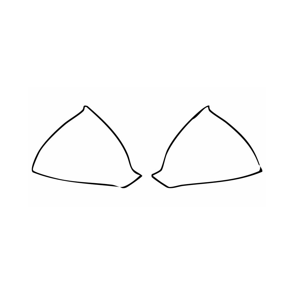 Pre-Cut PPF Cupra Formentor 2025