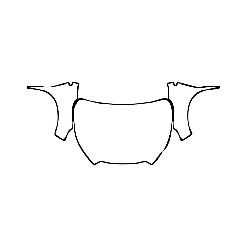 Pre-Cut PPF Subaru Ascent (US) Touring 2025