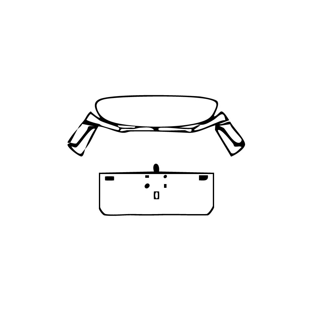 Pre-Cut PPF Zeekr 009 Base 2025