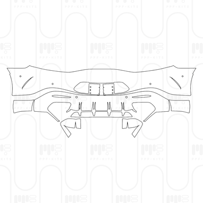 Pre-Cut PPF Mercedes-Benz AMG GT 2-Door AMG GT 55 2025